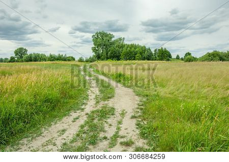Country Road Through Wild Meadows, Forest And Gray Clouds On The Sky. Wolka Czulczycka, Poland