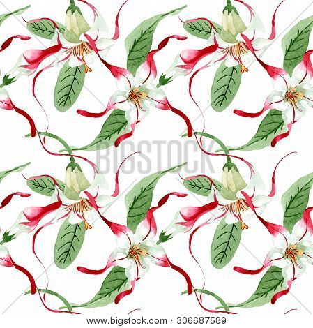 Red White Strophantus Floral Flowers. Watercolor Background Illustration Set. Seamless Background Pa