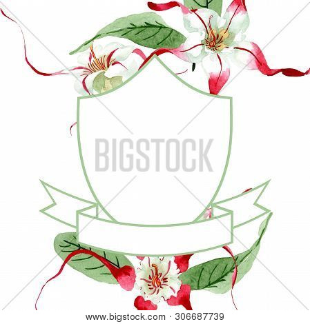 Red White Strophantus Botanical Flowers. Wild Spring Leaf Wildflower. Watercolour Drawing Fashion Aq