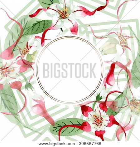 Red White Strophantus Botanical Flowers. Wild Spring Leaf Wildflower. Watercolour Drawing Fashion Aq