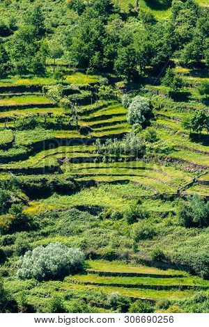 Viewpoint Of The Terraces (miradouro Dos Socalcos), Overlooking The Agricultural Terraces (famous Ti