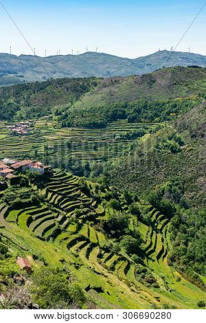 Viewpoint Of The Terraces (miradouro Dos Socalcos), Overlooking The Agricultural Terraces (famous Ti