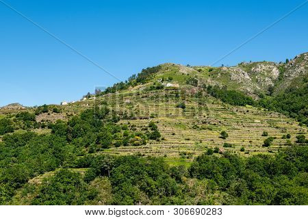 Viewpoint Of The Terraces (miradouro Dos Socalcos), Overlooking The Agricultural Terraces (famous Ti