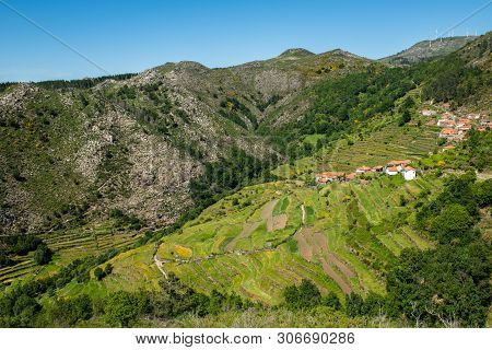 Viewpoint Of The Terraces (miradouro Dos Socalcos), Overlooking The Agricultural Terraces (famous Ti