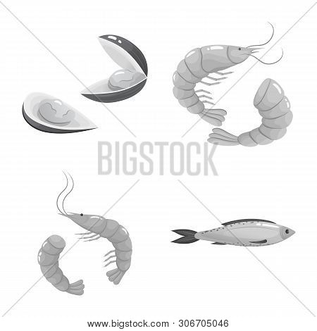 Isolated Object Of Seafood And Healthy Icon. Set Of Seafood And Ocean Vector Icon For Stock.