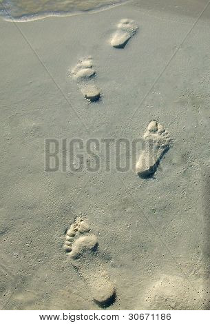 Foot prints in the Sand