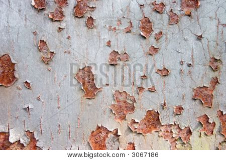 Odlupující se malbu na Rusty Metal