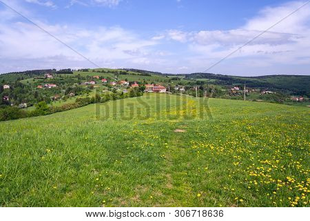 Beautiful Summer Landscape With Blooming Yellow Dandelions Around Zitkova Village, White Carpathians
