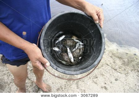 Önemsiz Catch