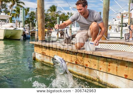 Florida tourism summer vacation attraction tourist man having fun feeding tarpon fish in the keys, USA travel lifestyle.