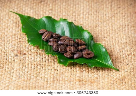 Roasted Coffee Bean On Linin Sack