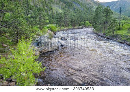 Poudre River and Canyon - aerial view of late spring scenery with high water flow
