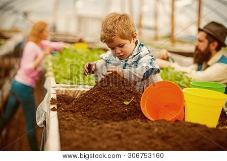 Soil Preparing. Small Boy Preparing Soil For Planting. Soil Preparing Concept. Soil Preparing Of You