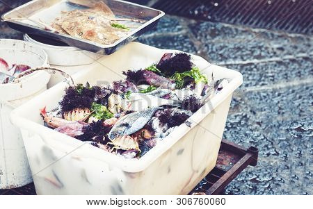 Fresh Seafood And Fish For Sale In The Market Pescheria Of Catania, Sicily, Italy