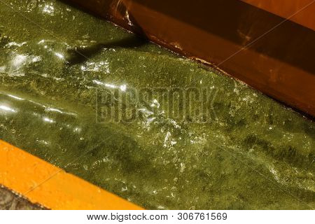 Dirty wave with old dirty algae. Dirty seaweed sea surf lines in seaport. Dirty sea, environmental p