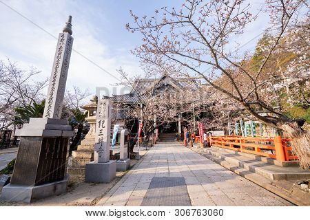 Wakayama, Japan - March. 27, 2019: Beautiful Kimiidera (kimii Temple) In Spring With Sakara (cherry