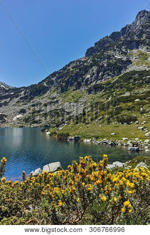 Dzhano Peak And Popovo Lake, Pirin Mountain, Bulgaria