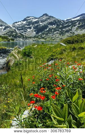 Landscape With Demirkapiyski Chukar Peak And Popovo Lake, Pirin Mountain, Bulgaria