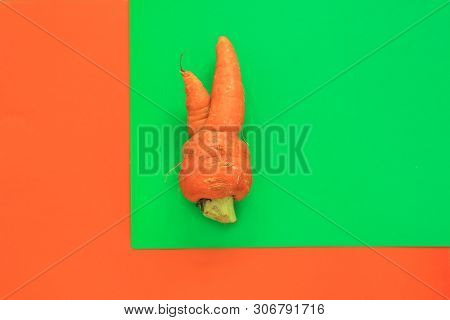 Ugly Food. Deformed Organic Carrot On Pastel Background In Green And Orange Duoton. Bright Contrast 