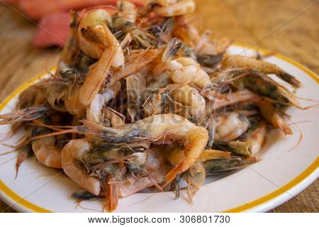 Scampi Of Mazzara Del Vallo In Sicilia
