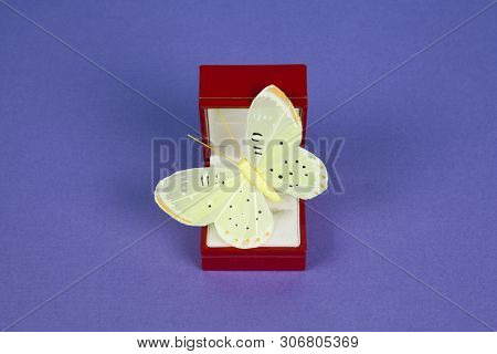 Jewel Butterfly Purple