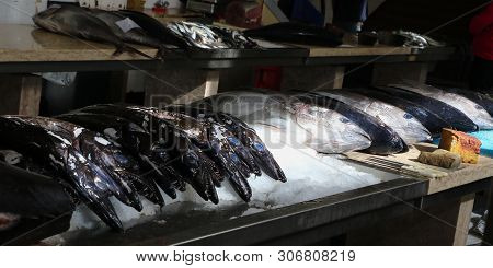 Fish Market, Tuna, Black Scabbard And Sardines In Madeira Island