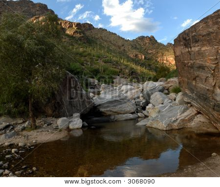 Sabino Canyon Arizona
