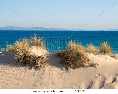 Dune With Beachgrass In Tarifa, Costa De La Luz, Spain, Europe