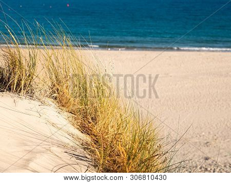 Dune With Beachgrass In Tarifa, Costa De La Luz, Spain, Europe
