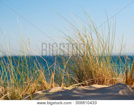 Dune With Beachgrass In Tarifa, Costa De La Luz, Spain, Europe