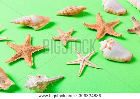 Sea Shells And Starfish On A Greenbackground And Sand. Vacation Time Concept