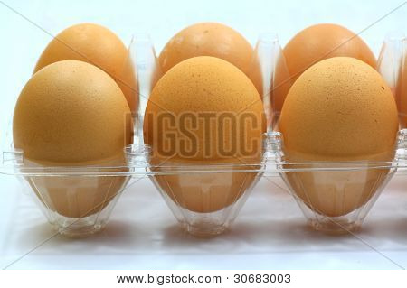 eggs in the package