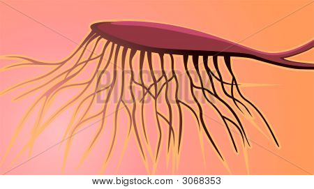 Neuroni