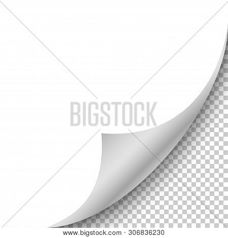 Realistic Blank Sheet Of Paper With Curled Corner And Shadow On Transparent Background