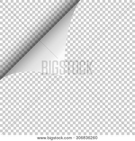 Realistic Curled Corner And Shadow On Transparent Background