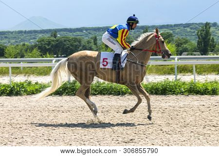 Pyatigorsk, Russia - June 16,2019:before Horse Race On Prize Gul,master Jockey Mardanov Imran On Mar