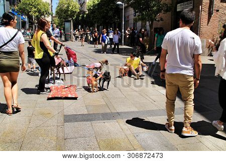 Madrid, Spain- June 14, 2019: Young Volunteers Collaborating For The Adoption Of Abandoned Dogs In T
