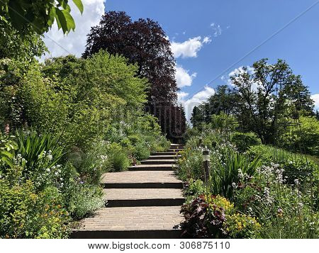 Botanical Garden Zurich Or Botanischer Garten Zuerich, Switzerland