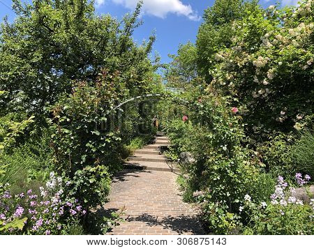 Botanical Garden Zurich Or Botanischer Garten Zuerich, Switzerland