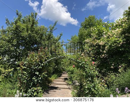 Botanical Garden Zurich Or Botanischer Garten Zuerich, Switzerland