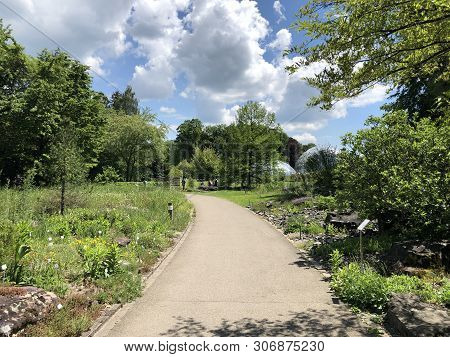 Botanical Garden Zurich Or Botanischer Garten Zuerich, Switzerland