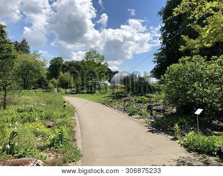 Botanical Garden Zurich Or Botanischer Garten Zuerich, Switzerland