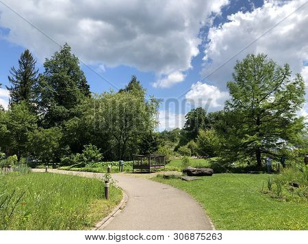 Botanical Garden Zurich Or Botanischer Garten Zuerich, Switzerland