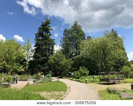 Botanical Garden Zurich Or Botanischer Garten Zuerich, Switzerland