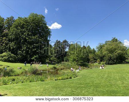 Botanical Garden Zurich Or Botanischer Garten Zuerich, Switzerland