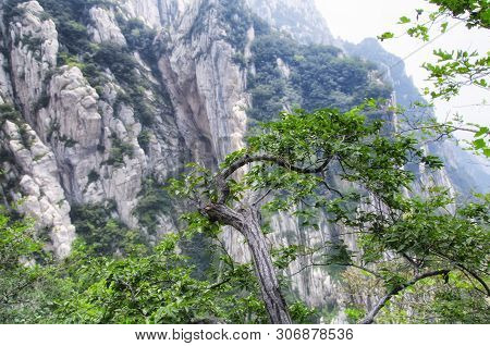 A Single Tree And Geological Formations On Mount Song In Henan Province China.