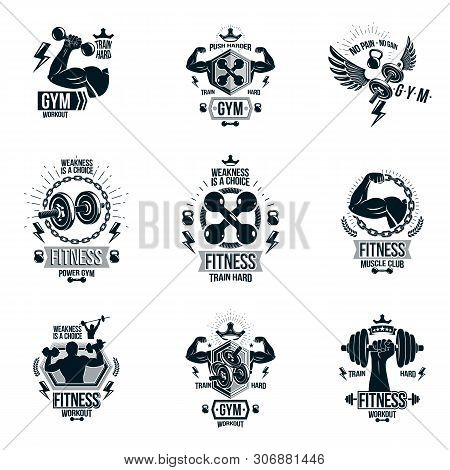 Set Of Vector Fitness Workout And Weightlifting Gymnasium Theme Logotypes And Inspiring Posters Made