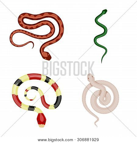 Vector Design Of Poison And Evil Icon. Collection Of Poison And Bite Vector Icon For Stock.