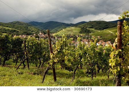 Villaggio di Andlau in Alsazia Francia con vigneti in primo piano