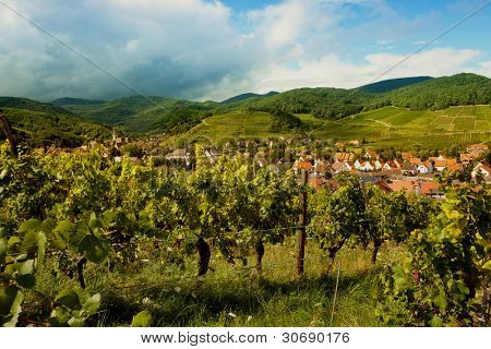 Estate nel villaggio di Andlau vino in Alsazia Francia